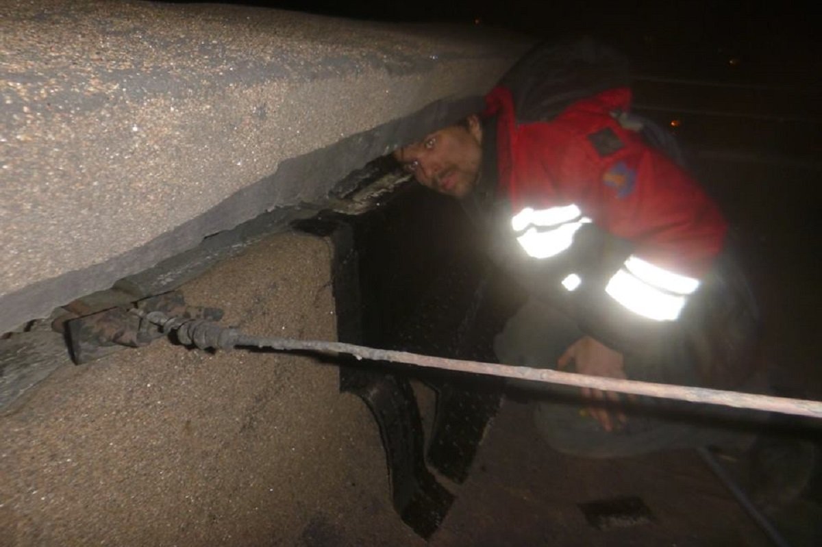 Жители дома вызвали команду спасения животных Жители дома вызвали команду спасения животных