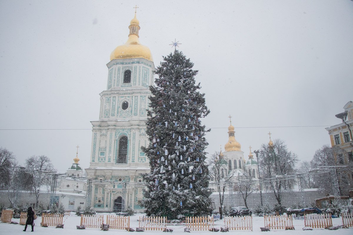 Столетняя новогодняя красавица мерзнет в ожидании праздника Столетняя новогодняя красавица мерзнет в ожидании праздника