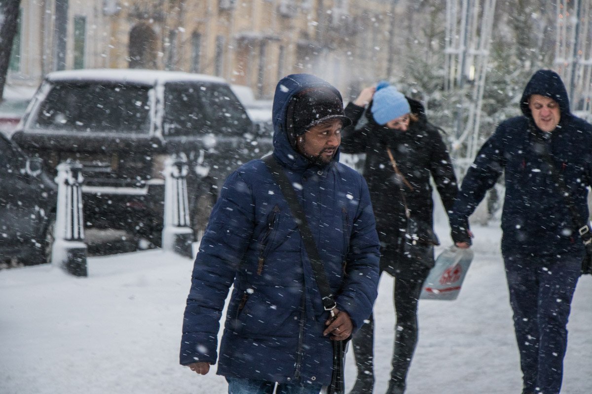 А в Африке сейчас тепло... А в Африке сейчас тепло...