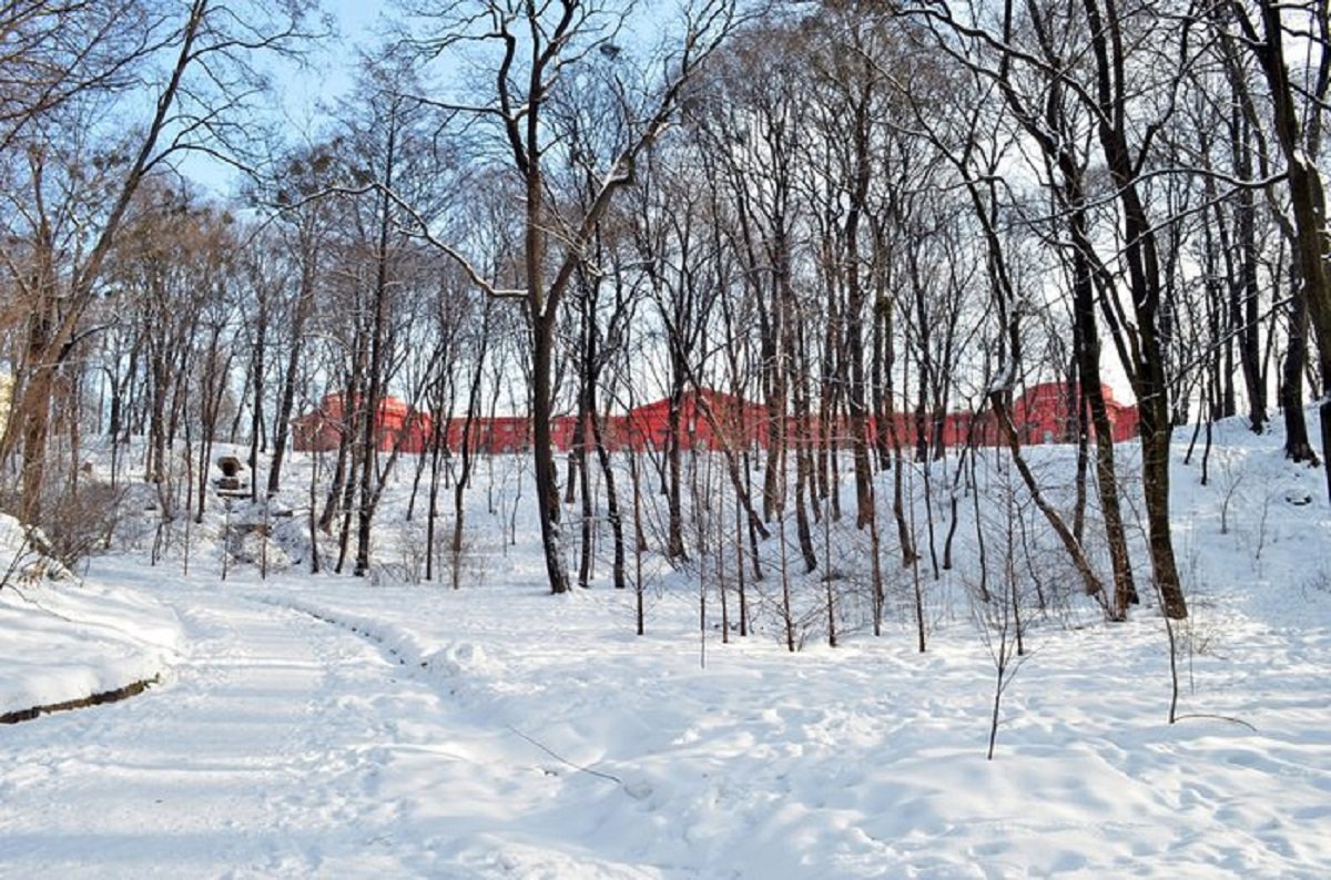 Отдайся скорости и доверься ветру: где в Киеве прокатиться на крутых горках 9