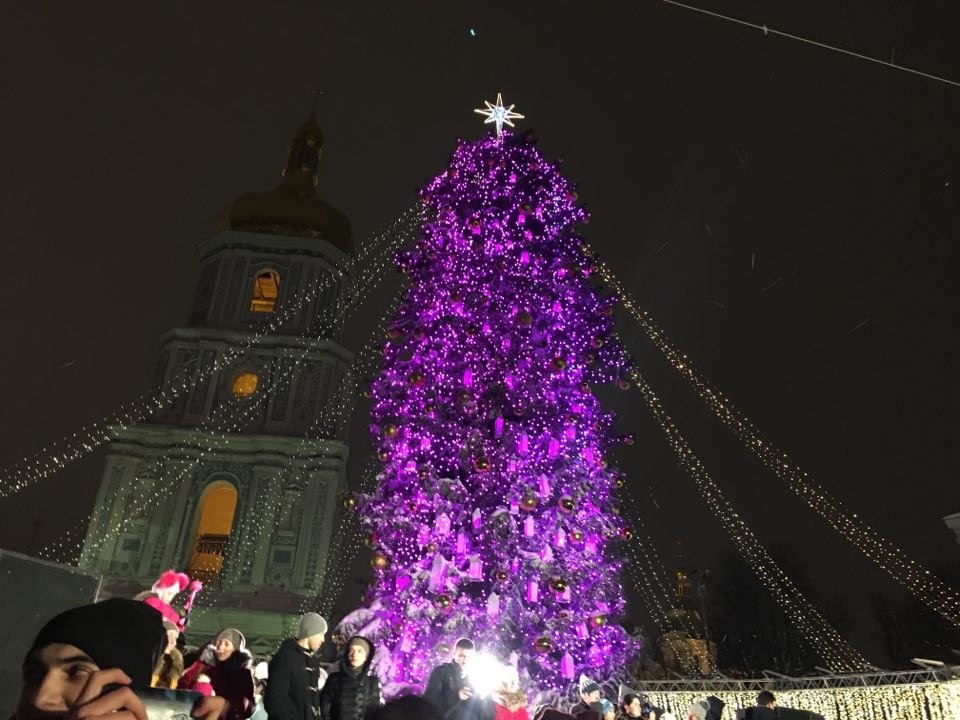 Пышная зеленая красавица зажглась разноцветными огоньками 