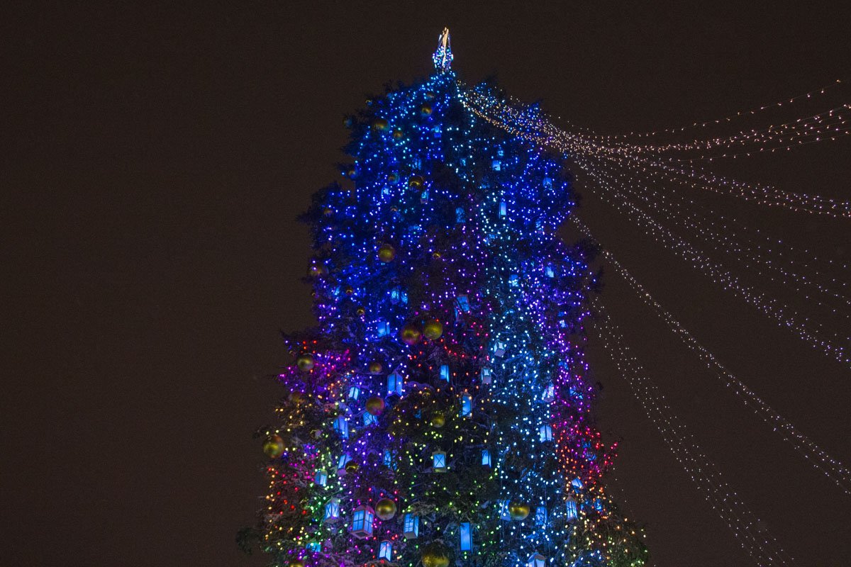 На елке 3 км гирлянды