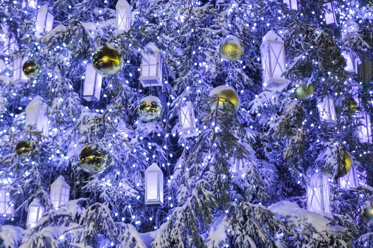 На елке сотни фонариков и шаров