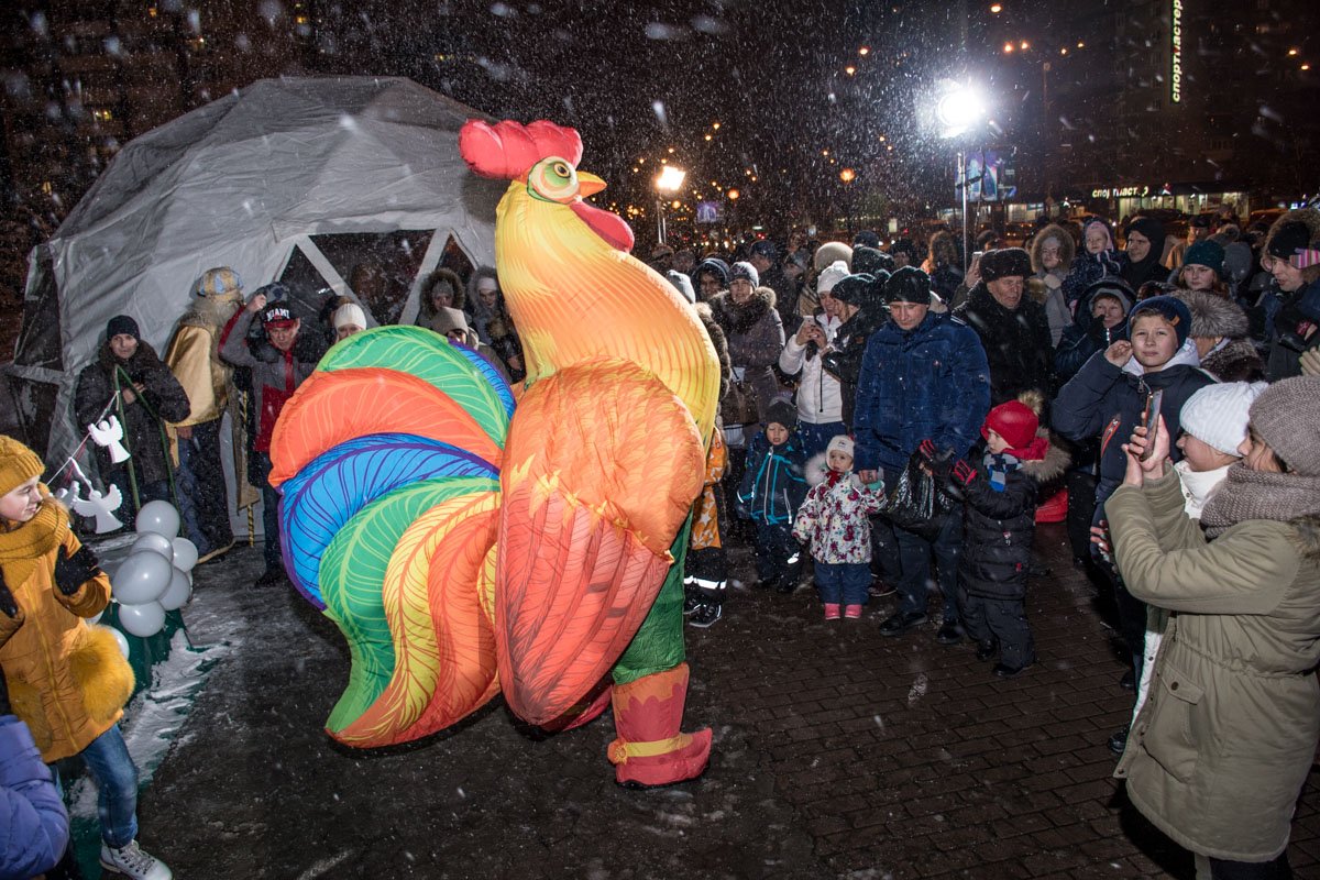 Символ 2017 года - петух отрывался "на полную" в последние деньки своего пребывания