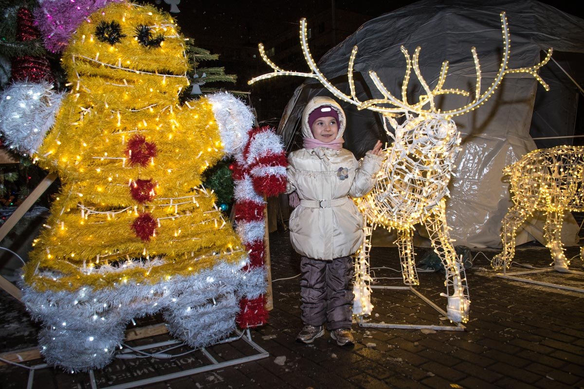 Все желающие фотографировались возле светящихся зверей
