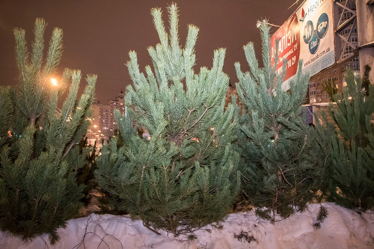 Возле станции метро "Минская" со штрих-кодами тоже проблема Возле станции метро "Минская" со штрих-кодами тоже проблема