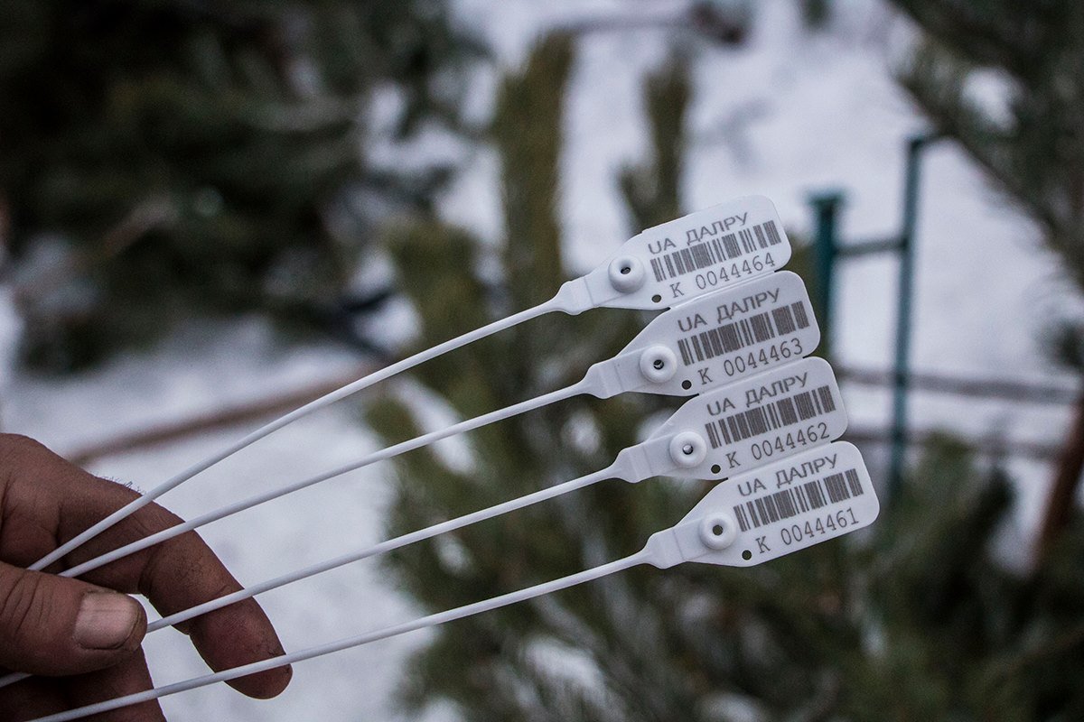 Ярлычки найти нам удалось, однако приложение нам сообщило, что дерево не зарегистрировано Ярлычки найти нам удалось, однако приложение нам сообщило, что дерево не зарегистрировано