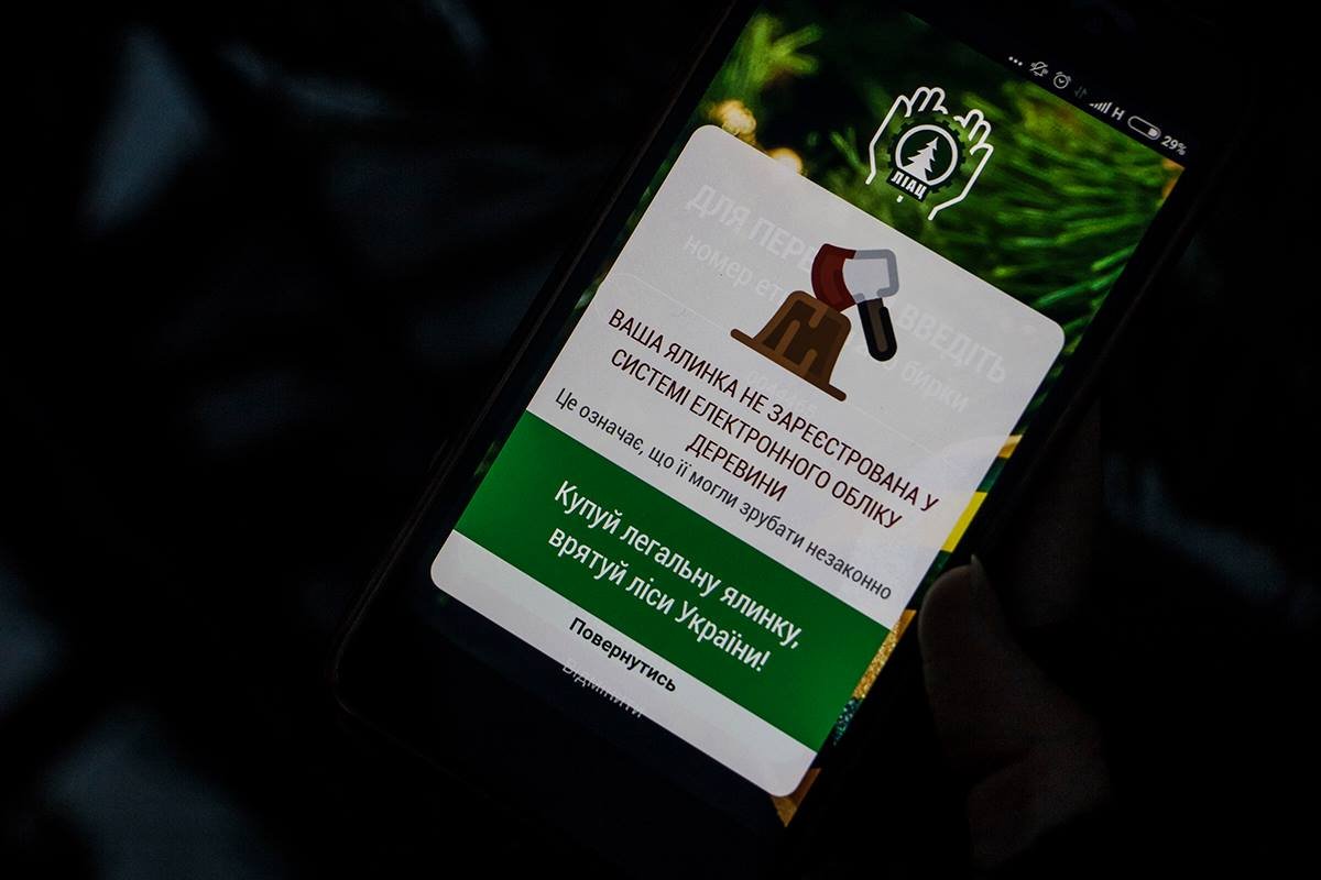 Приложение "Ялинка" с помощью которого можно проверить легальность елки Приложение "Ялинка" с помощью которого можно проверить легальность елки