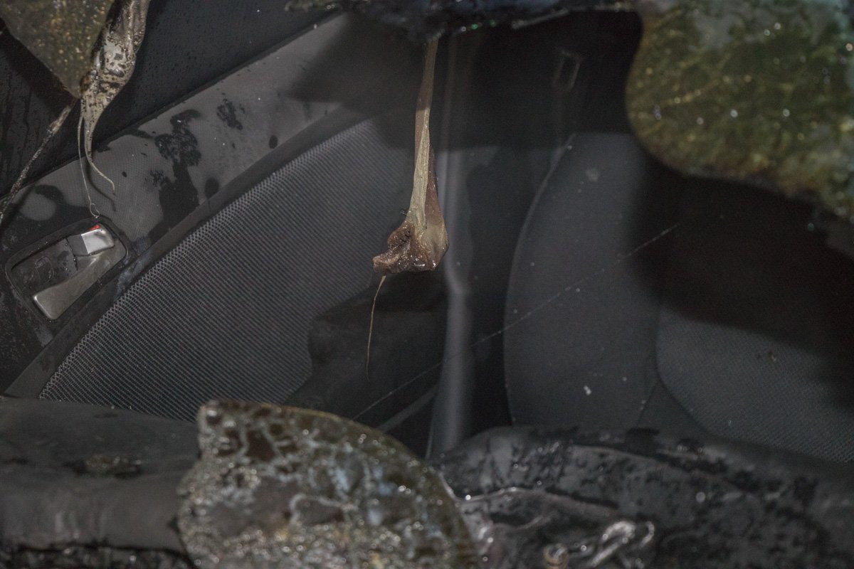 Остатки лобового стекла