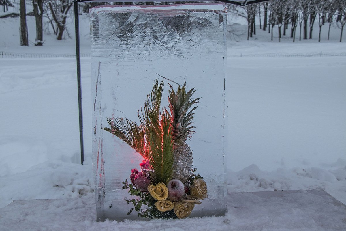 20 цветочных композиций находятся прямо внутри льдины