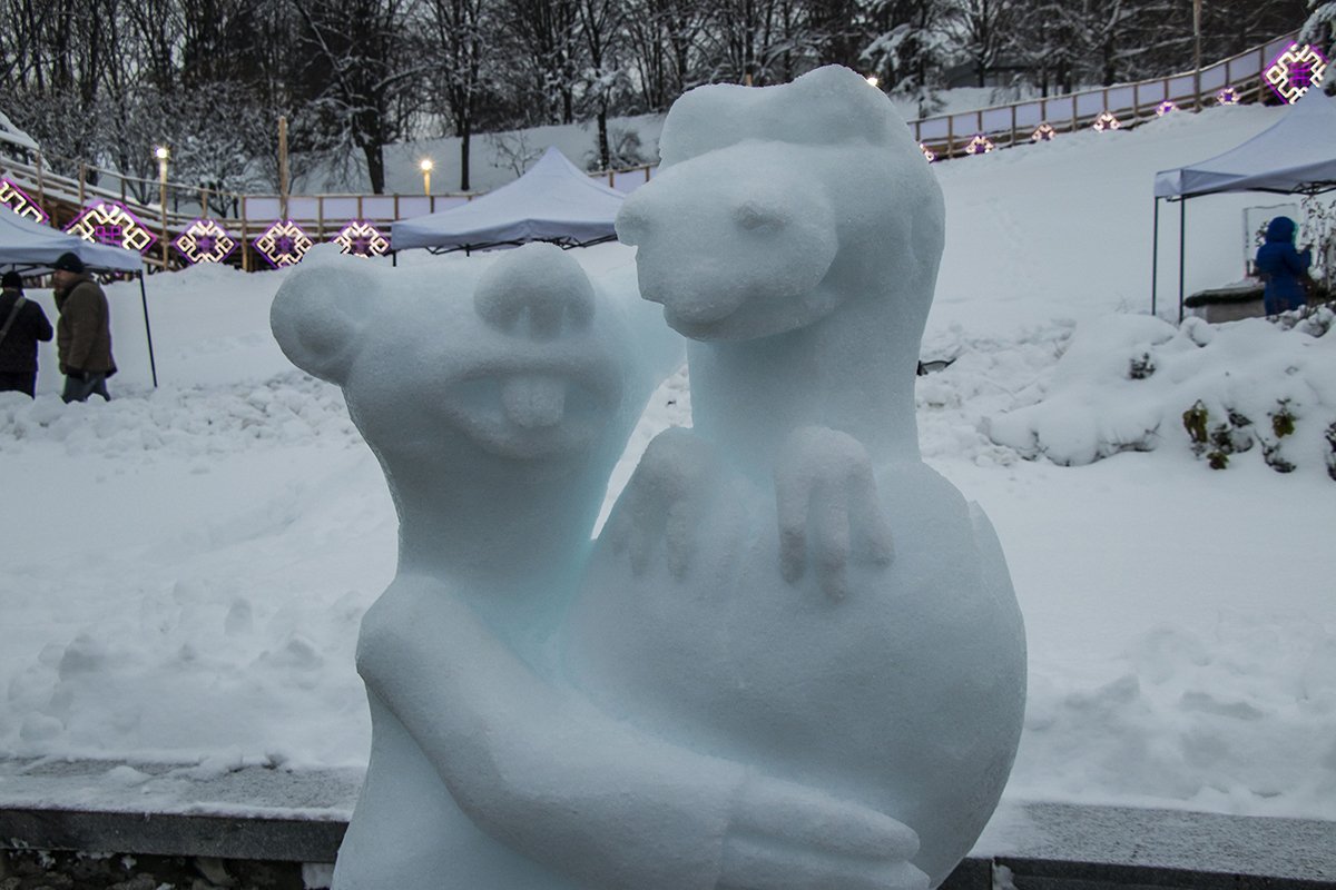 Всеми любимый ленивец