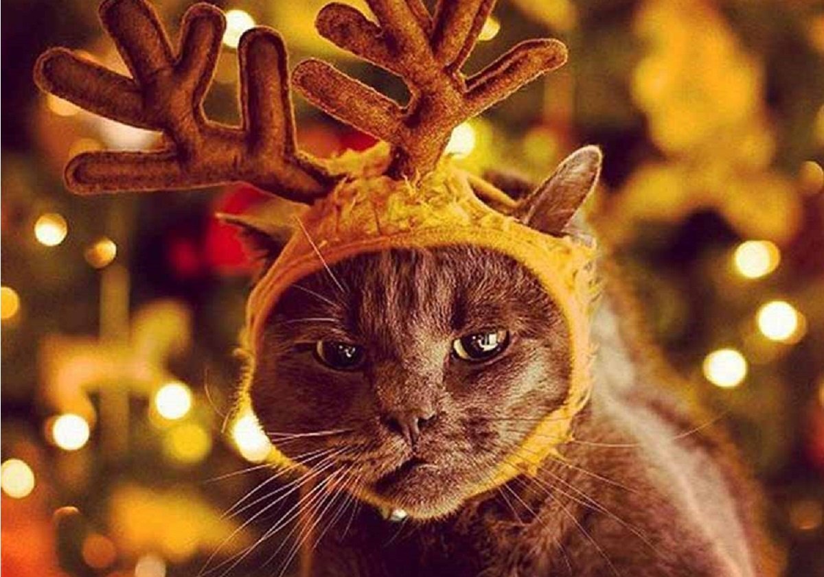 23 декабря: куда пойти сегодня 2