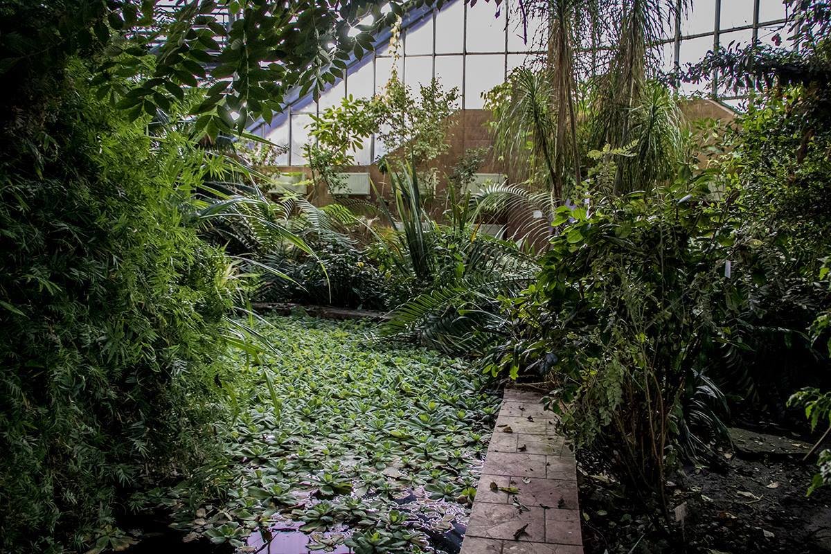 Фото: Роман Барабаш