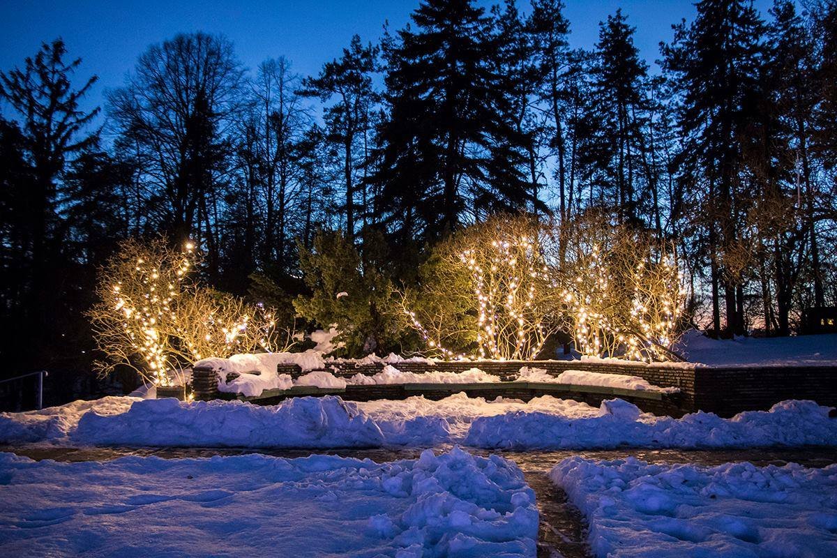 Фото: Роман Барабаш 