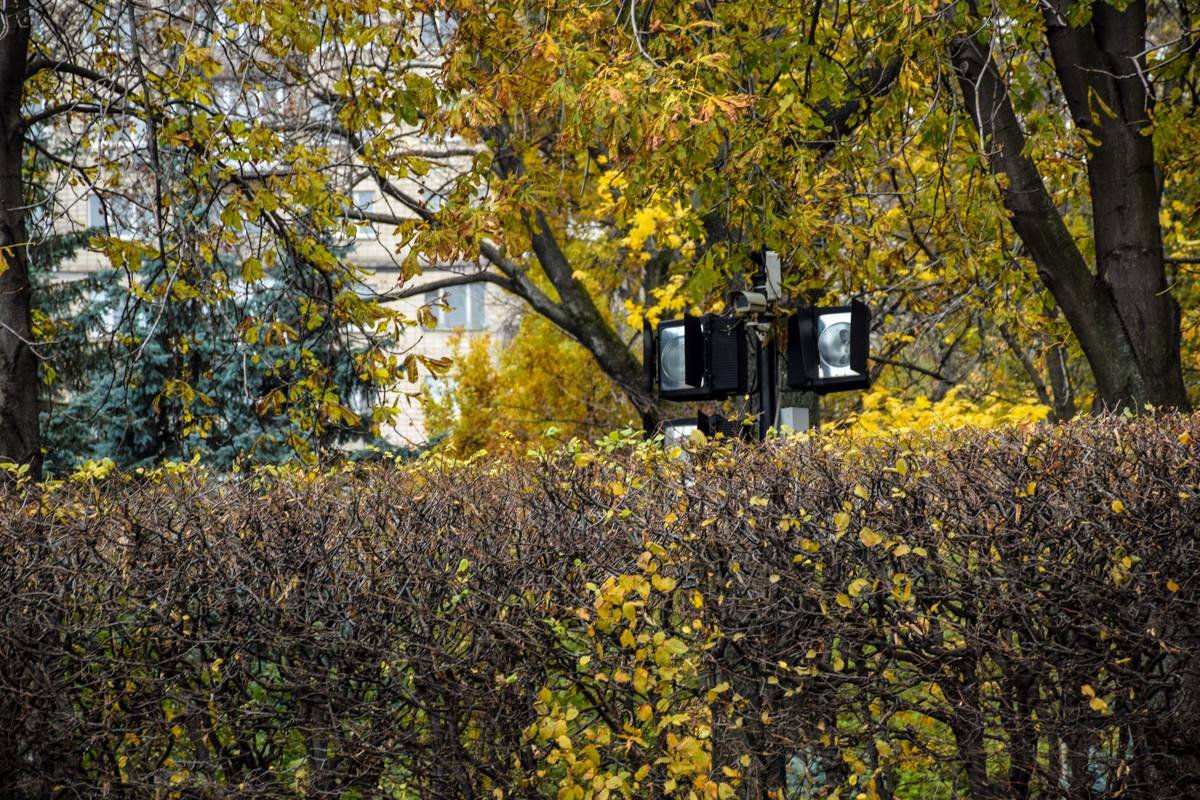 Камеры видеонаблюдения в парке Славы