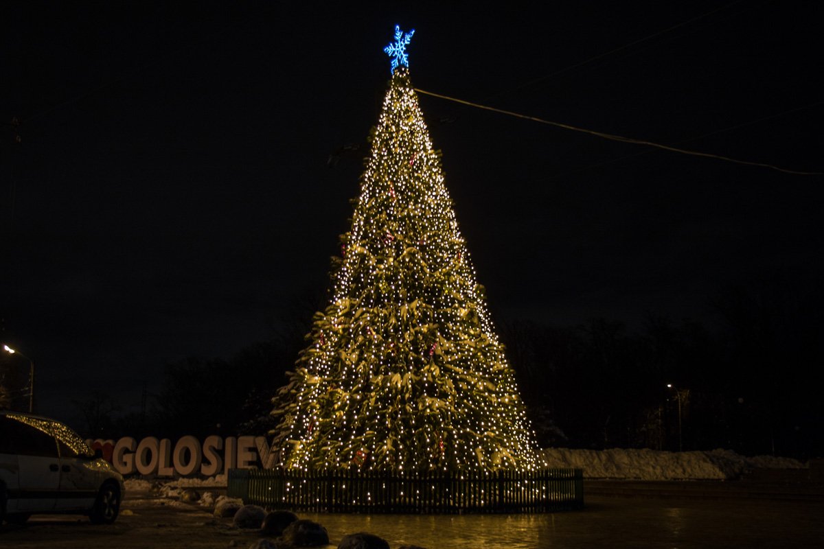 Все елки Киева - неповторимые и оригинальные Все елки Киева - неповторимые и оригинальные