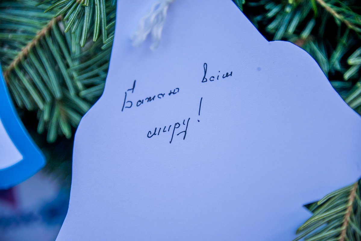 Фото: Витольд Явдощук