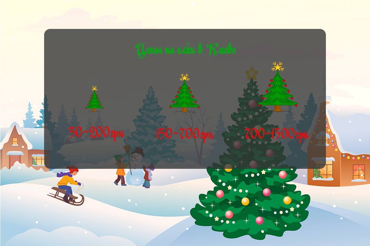 Сколько стоит новогодняя елка в Киеве: инфографика 1