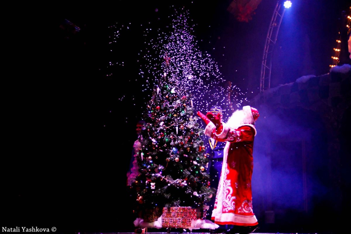 Цирк - это не только клоуны