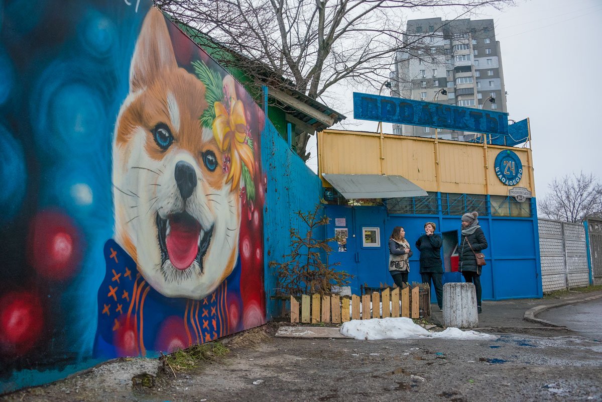 Огненная собака - символ наступающего 2018 года Огненная собака - символ наступающего 2018 года