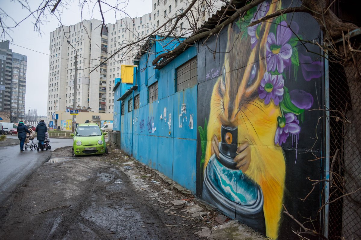 Рядом с граффити ежика - изображение белки на стене Рядом с граффити ежика - изображение белки на стене