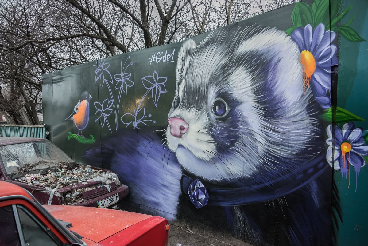 А это крайнее видео художника - хорек с алмазным ошейником А это крайнее видео художника - хорек с алмазным ошейником