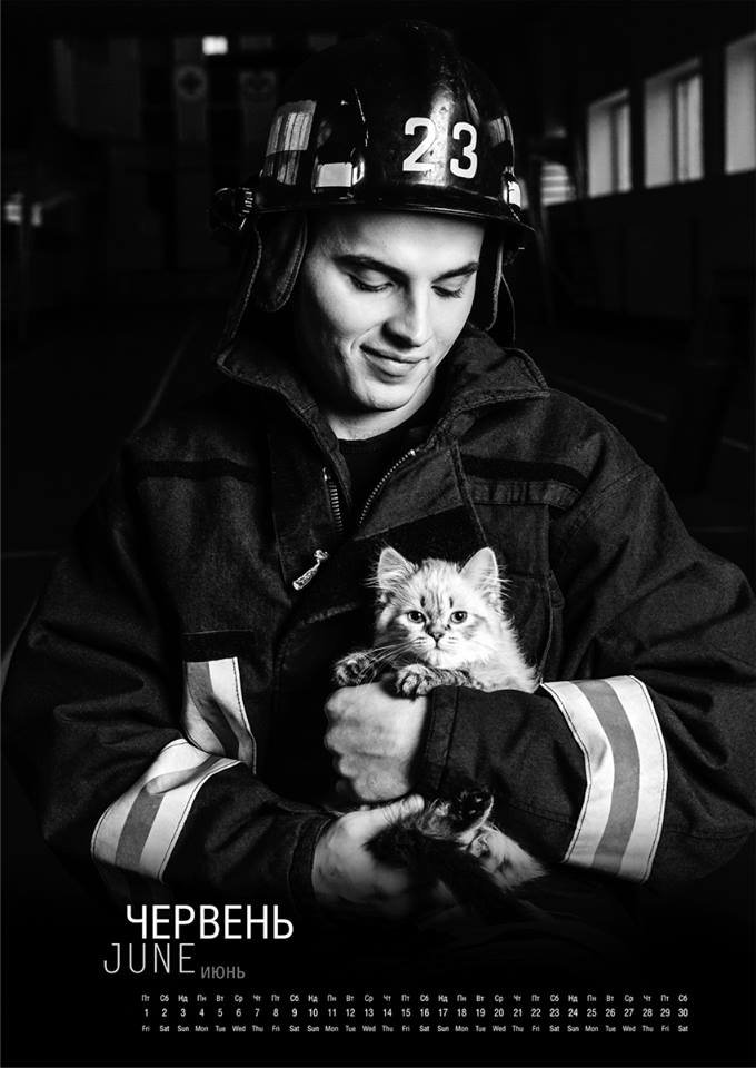 Июнь. Долгожданные котики. В руках у работника ГСЧС Июнь. Долгожданные котики. В руках у работника ГСЧС