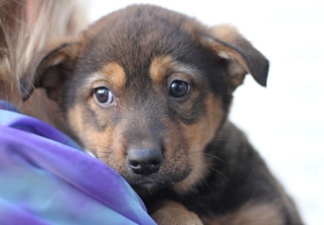 Не проходите мимо, плюшевая малышка верит в новогоднее чудо