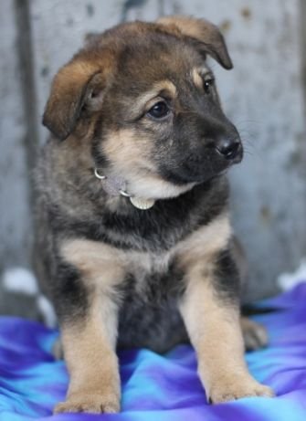 Забери меня домой!