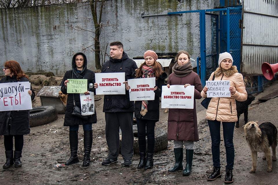 30 декабря на территории приюта провели акцию, чтобы привлечь внимание властей 30 декабря на территории приюта провели акцию, чтобы привлечь внимание властей