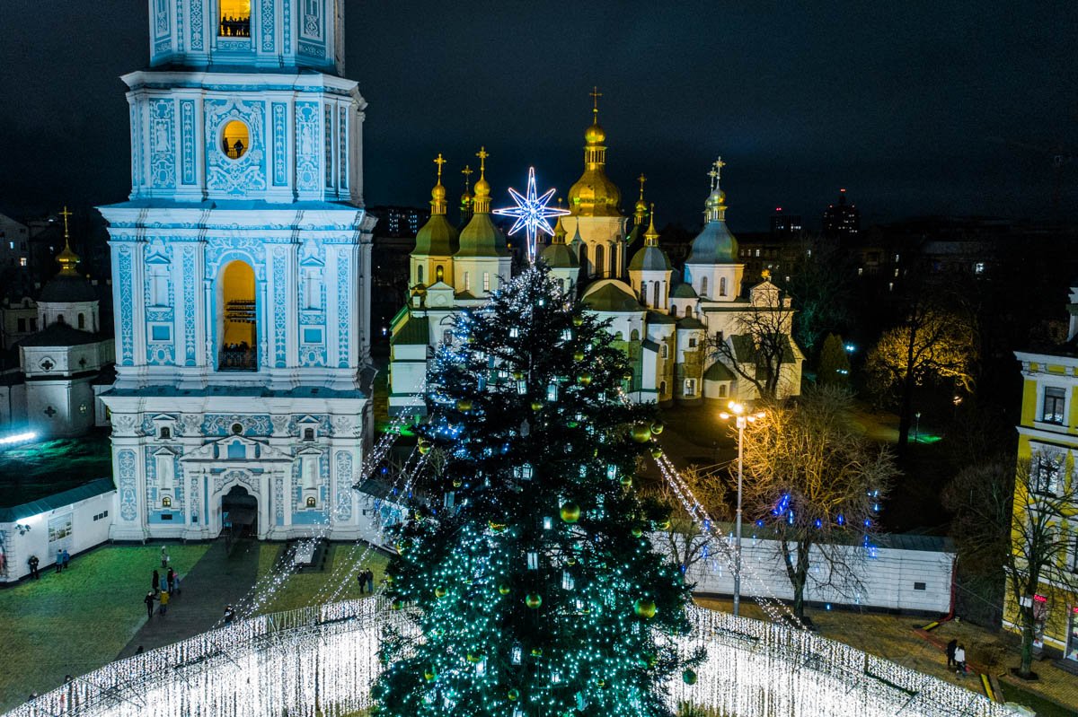 Волшебная зеленая красавица похожа на невесту в сияющей фате Волшебная зеленая красавица похожа на невесту в сияющей фате