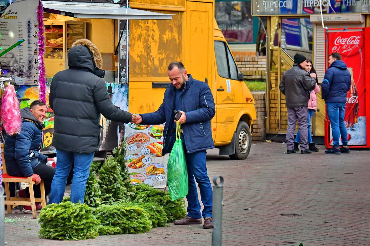 Последний шанс купить елочку Последний шанс купить елочку