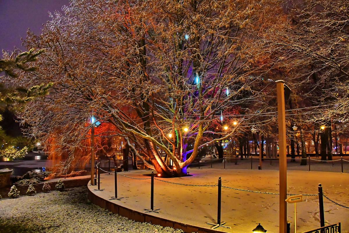 Как выглядит Киев за несколько часов до Нового года 4