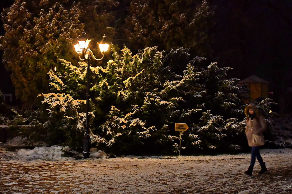 Как выглядит Киев за несколько часов до Нового года 6