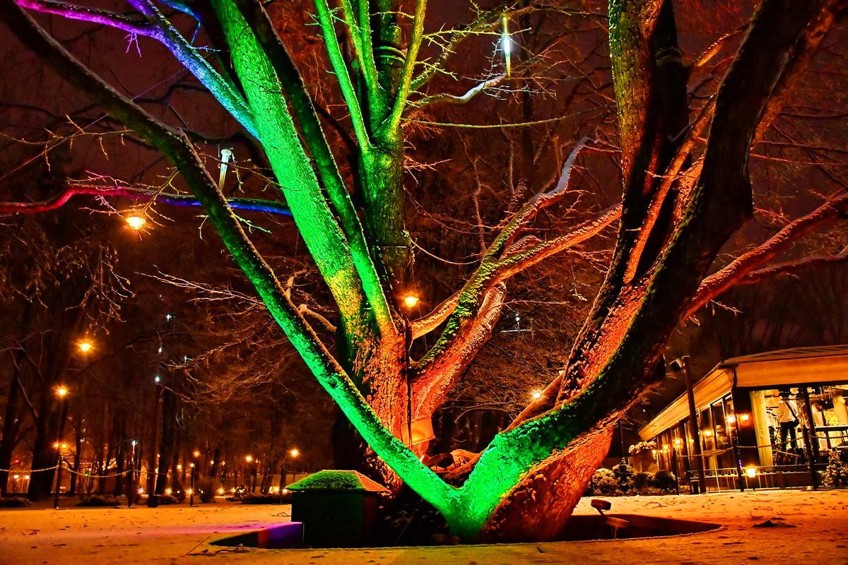 Как выглядит Киев за несколько часов до Нового года 7