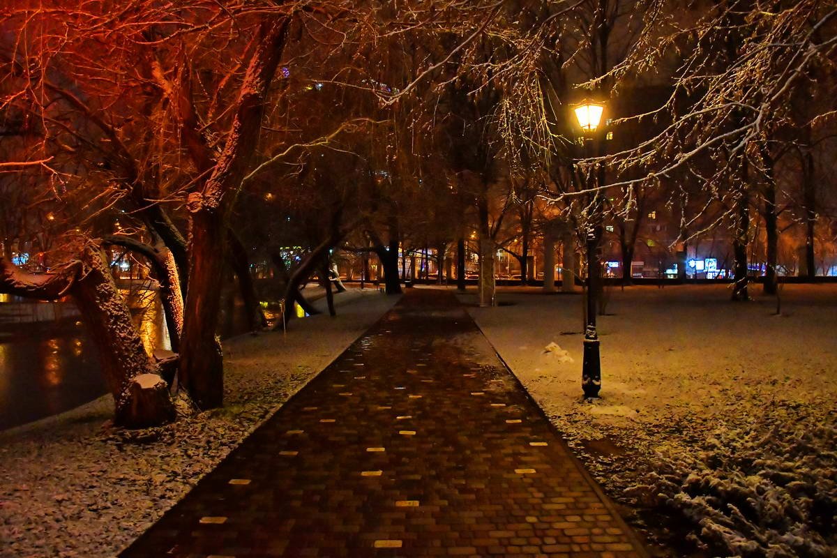 Как выглядит Киев за несколько часов до Нового года 8