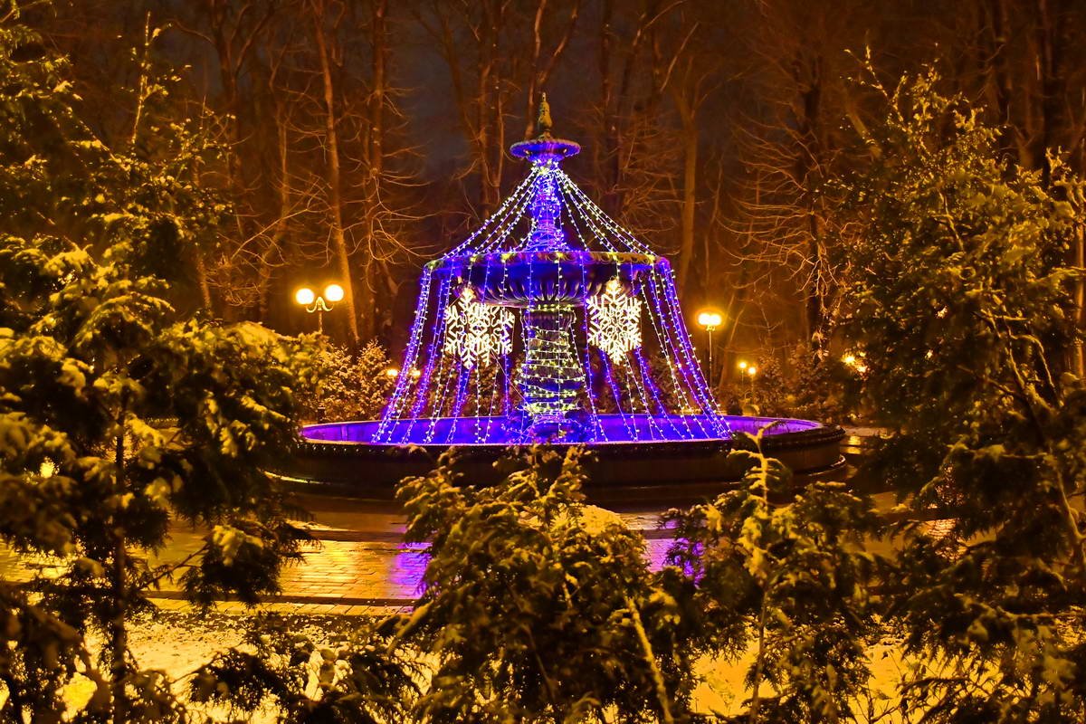 Как выглядит Киев за несколько часов до Нового года 12