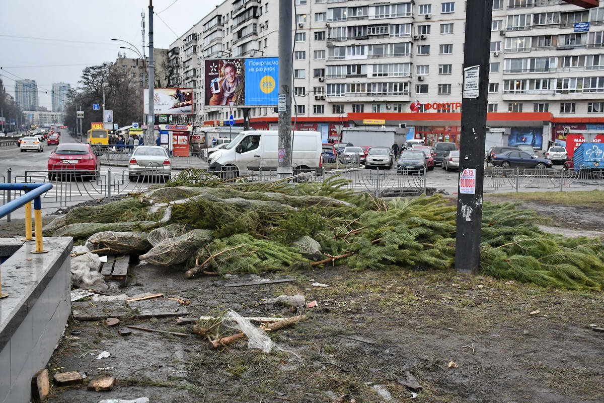 Не проданные деревья больше никому не нужны Не проданные деревья больше никому не нужны