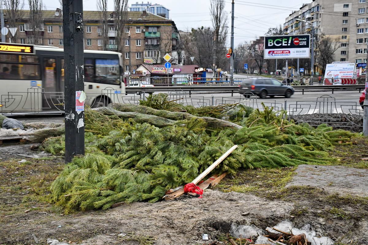 Фото: Андрей Шматов Фото: Андрей Шматов