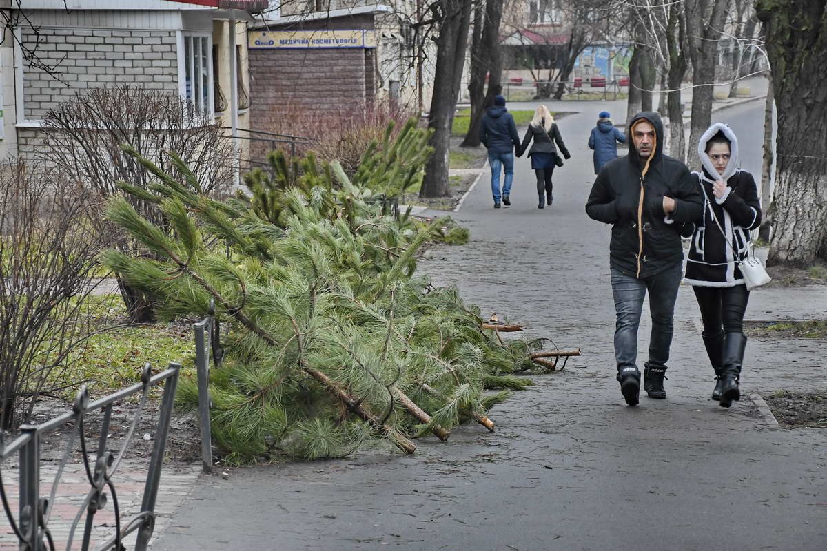 Елки бросили и на улице Ереванская Елки бросили и на улице Ереванская