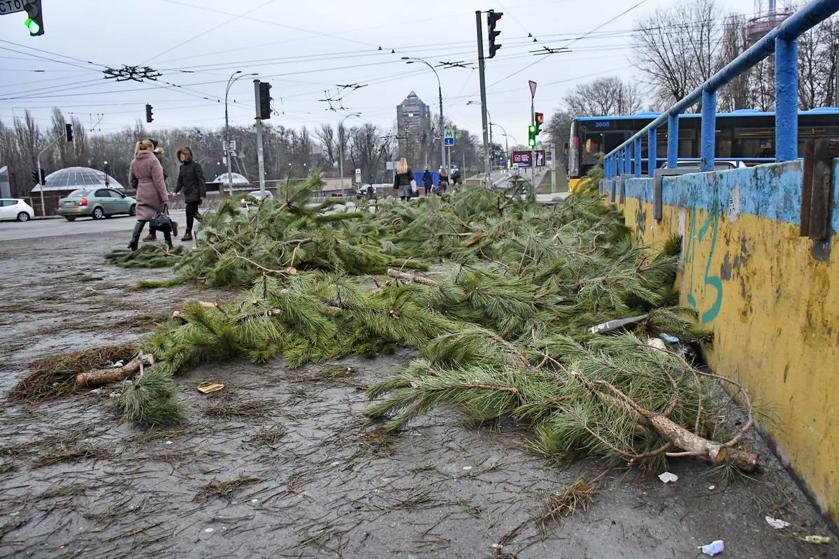 На Дорогожичах деревья валяются на переходе улицы Елены Телиги На Дорогожичах деревья валяются на переходе улицы Олены Телиги