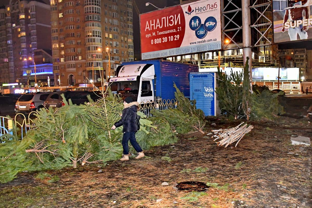 Деревья валяются возле автопарковки Деревья валяются возле автопарковки