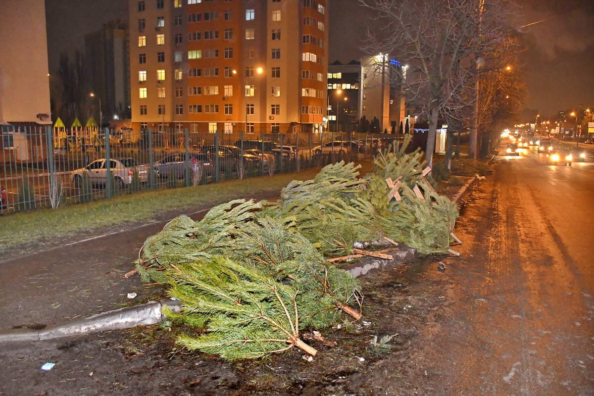 Еще одна крупная новогодняя свалка образовалась на проспекте Космонавта Комарова Еще одна крупная новогодняя свалка образовалась на проспекте Космонавта Комарова