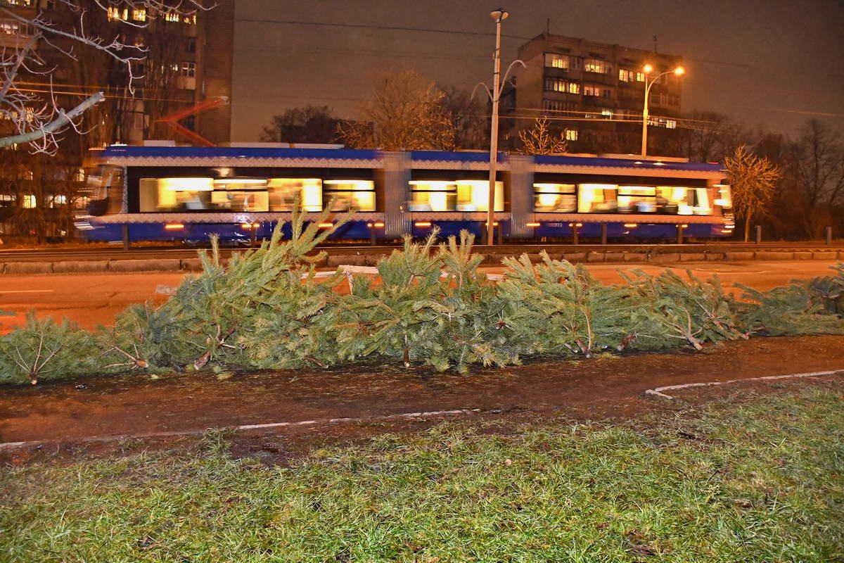 Елки валяются возле скоростного трамвая Елки валяются возле скоростного трамвая