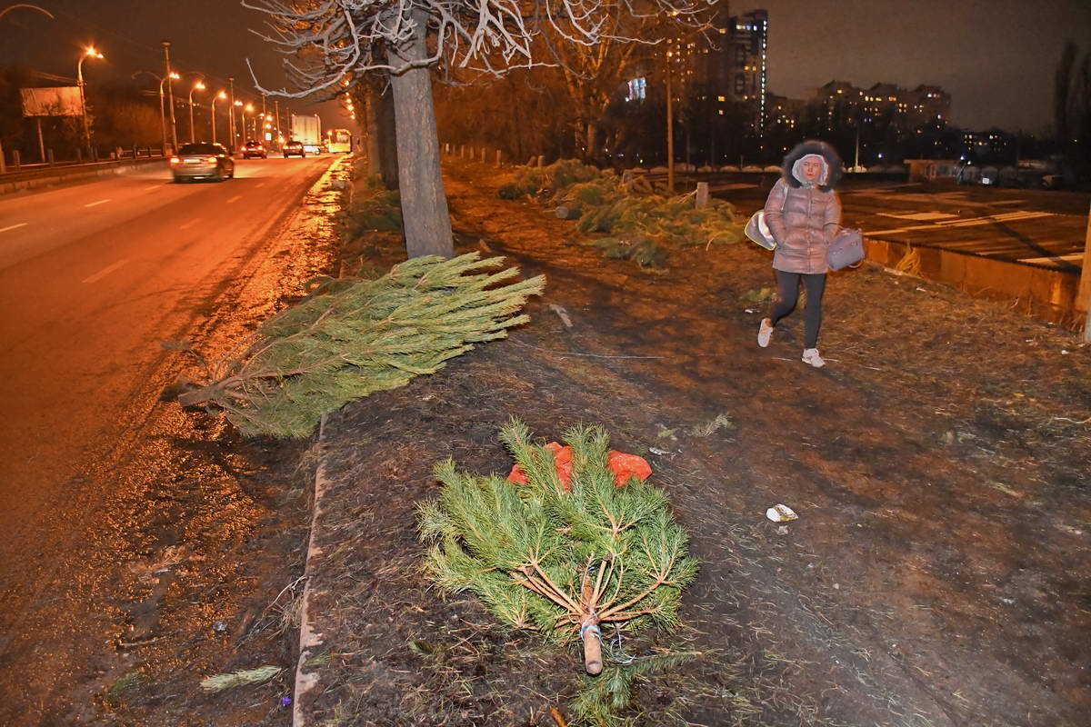 Прохожие идут мимо, теперь эти деревья просто мусор Прохожие идут мимо, теперь эти деревья просто мусор