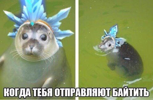 Хайпбист, флекс и ебой: сленговые слова, которые агрят твою бабушку 3