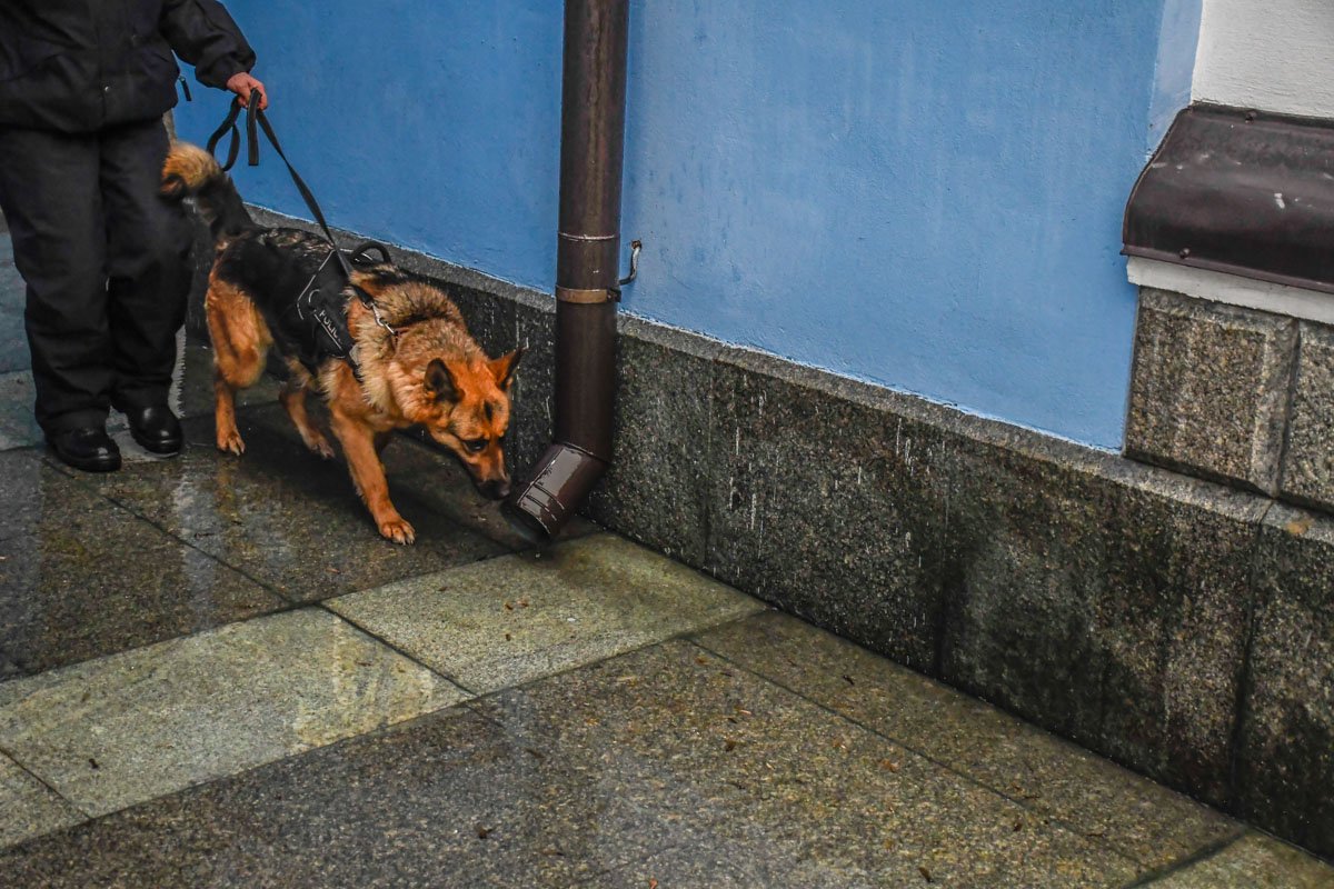 Снаружи собор осмотрели специально обученные собаки