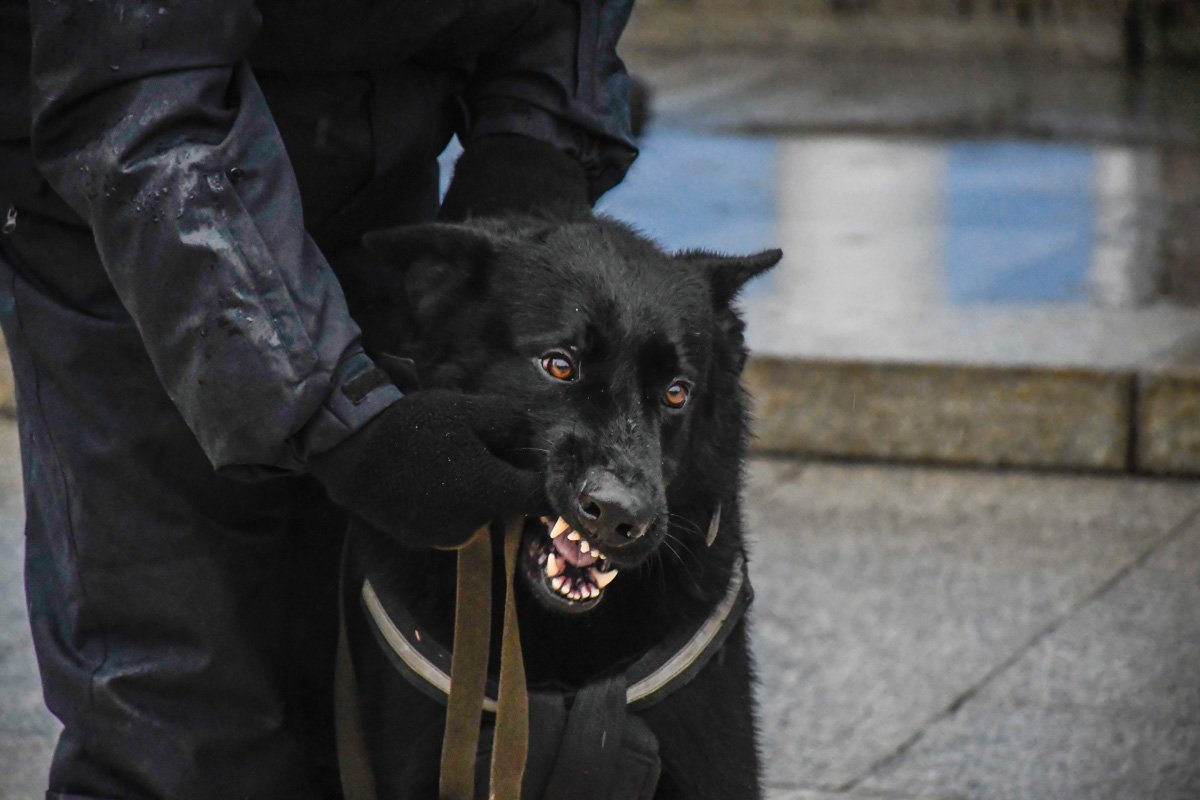 Фото: Андрей Райский