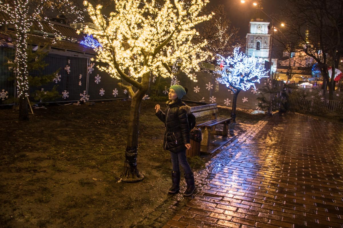 На их фоне часто делают фотографии На их фоне часто делают фотографии