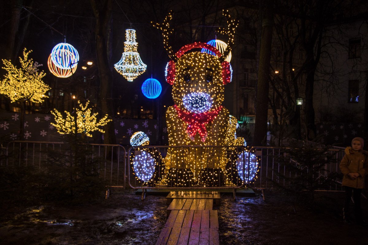 На их фоне часто делают фотографии На их фоне часто делают фотографии